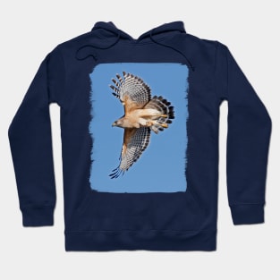 Red-Shouldered Hawk Hoodie